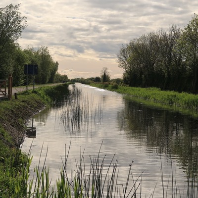 Grand Canal